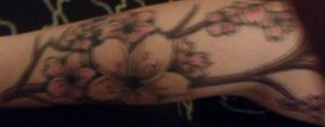 Cherry Blossoms Tattoo/ tattoo by Jax from Apex Tattoo Factory