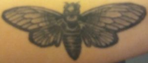 Cicada tattoo