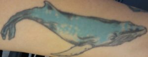 New London Connecticut Whaler tattoo
