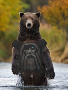 A Bear wearing an Odin shirt