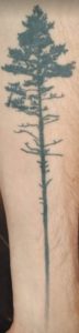 Sequoia Tree Tattoo