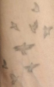 Birds Tattoo