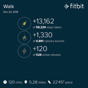 FitBit Walk Status