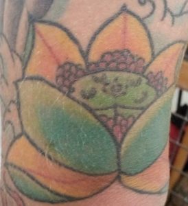 Lotus Flower Tattoo